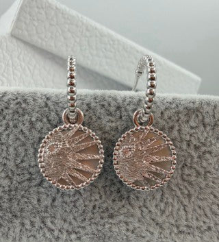 Dior Feather Medallion Crystal Drop Stud Earrings